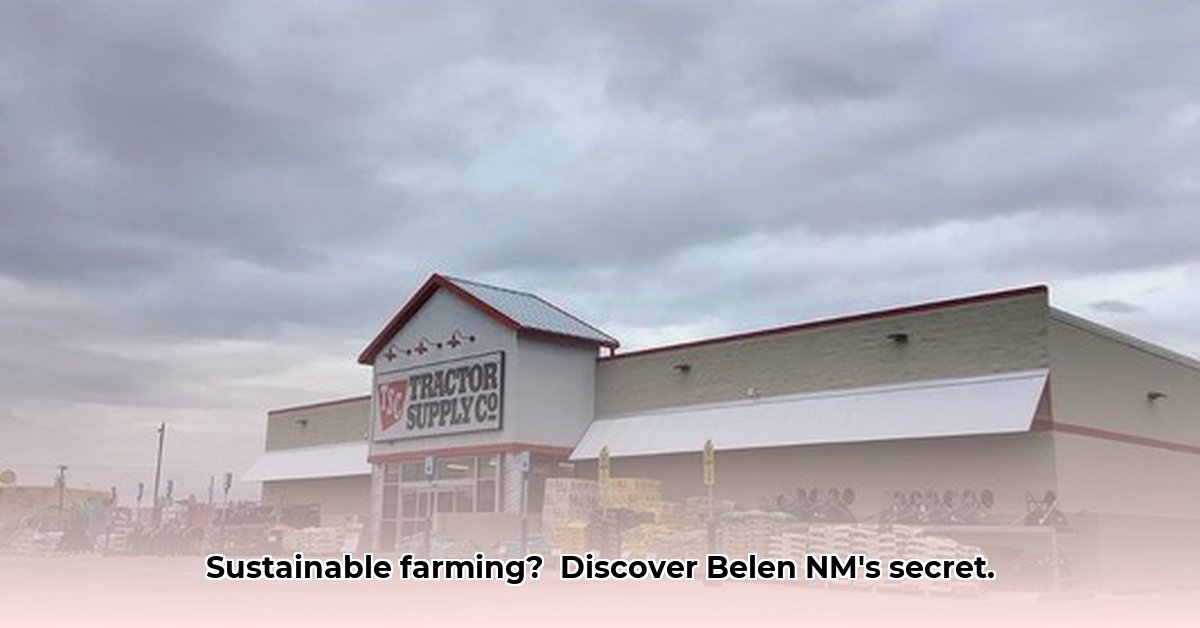 tractor-supply-belen-nm
